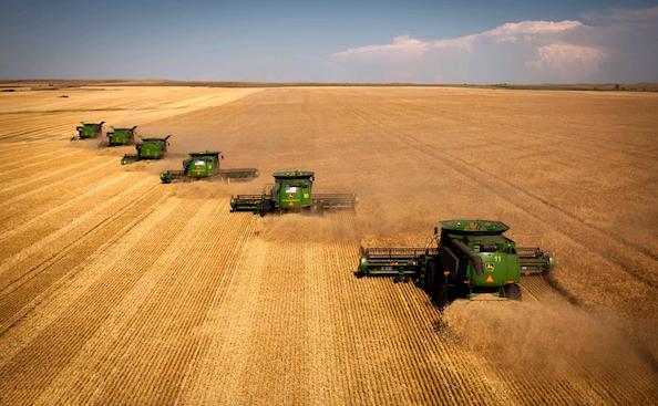 IT, agricoltura, meccanica, e tante altre: sono le industrie ove trovare maggiori opportunità  per lo sviluppo in Ucraina